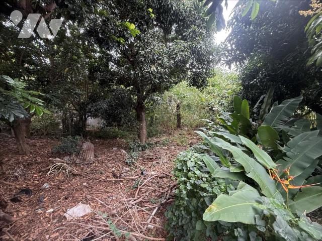 Terrain 645 m² · à Saint-Pierre · 645 m² · 169 600 €