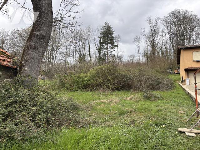 Terrain 2379 m² · à Ambutrix · 2 379 m² · 89 000 €