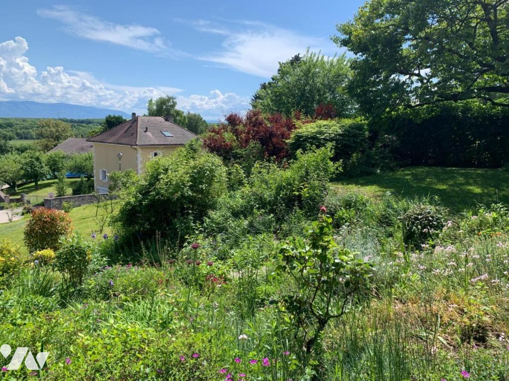 VENTE maison-SAUVERNY (01)
