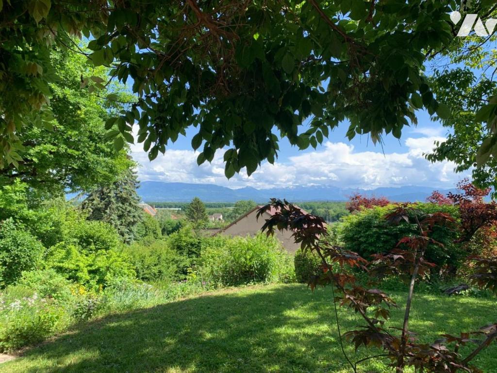 VENTE maison-SAUVERNY (01)