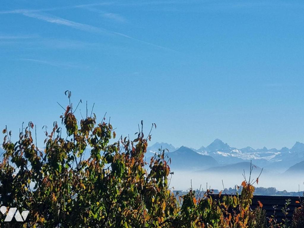 Maison 4 pièces 89 m² · à Thoiry · 89,4 m² · 535 000 €