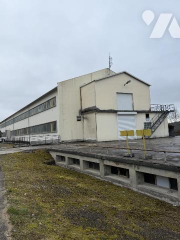 Vente - Local divers - OYONNAX - 3 160 m² - P01055-2609