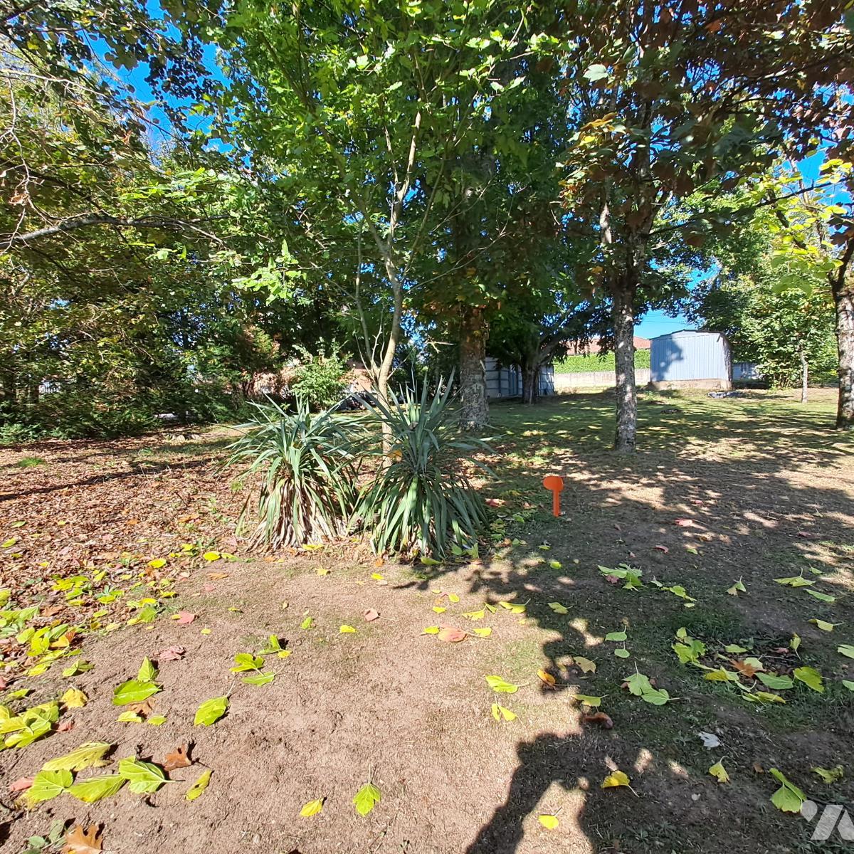 VENTE terrain-FRANCHELEINS (01)