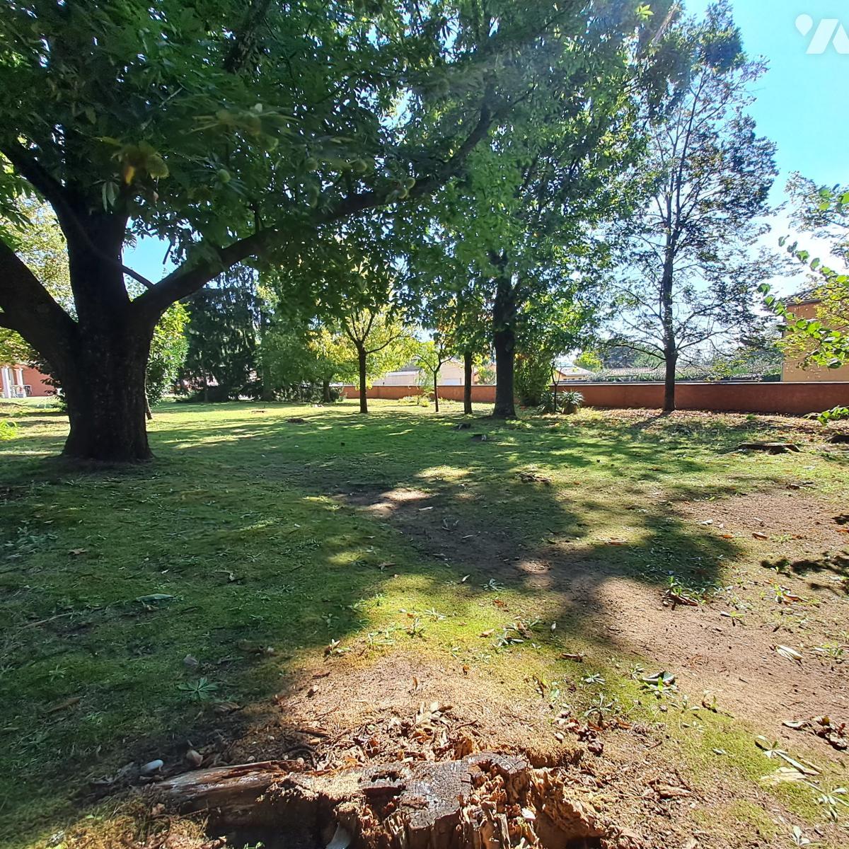 VENTE terrain-FRANCHELEINS (01)