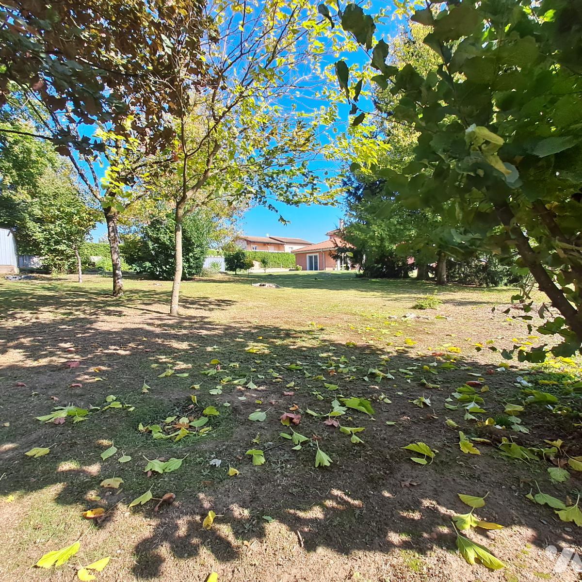 VENTE terrain-FRANCHELEINS (01)