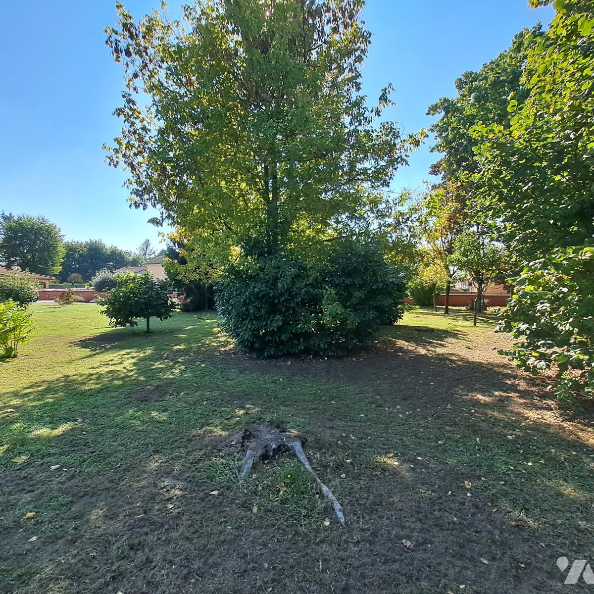 VENTE terrain-FRANCHELEINS (01)