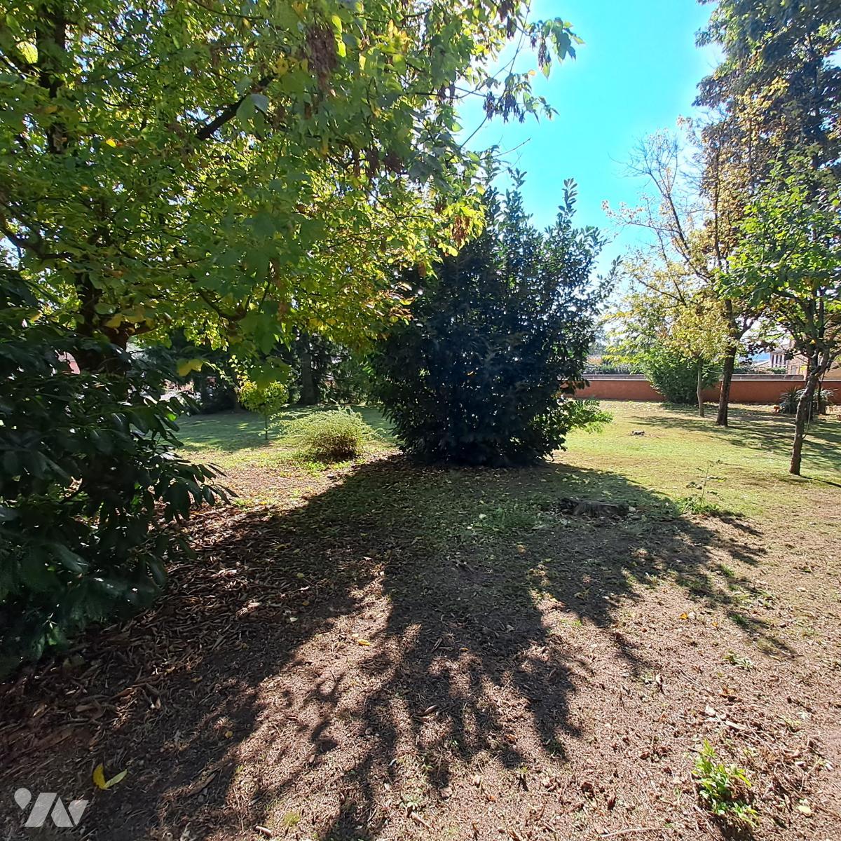 VENTE terrain-FRANCHELEINS (01)