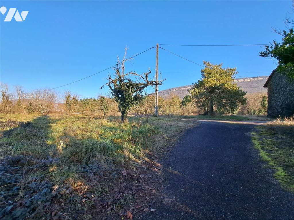 VENTE maison-BELLEY (01)