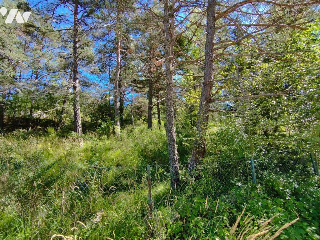 Terrain 917 m² · à Seyne · 917 m² · 47 500 €
