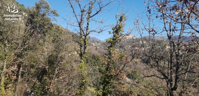 Vente - Terrain - COARAZE - 3 431 m² - 06011-21