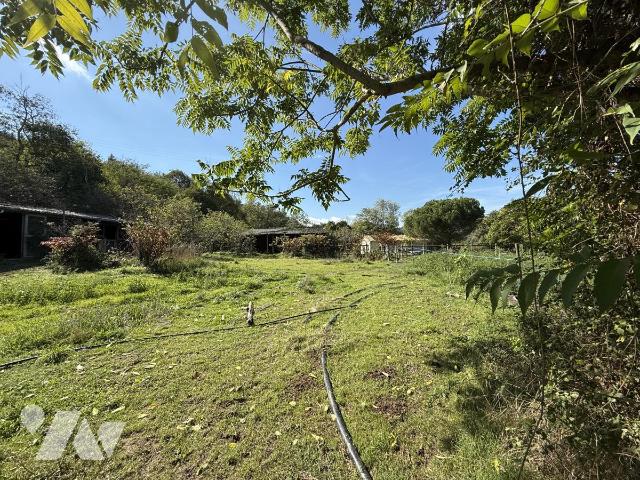 Vente - Terrain - ST LAURENT DU PAPE - 1 831 m² - 07023-1236