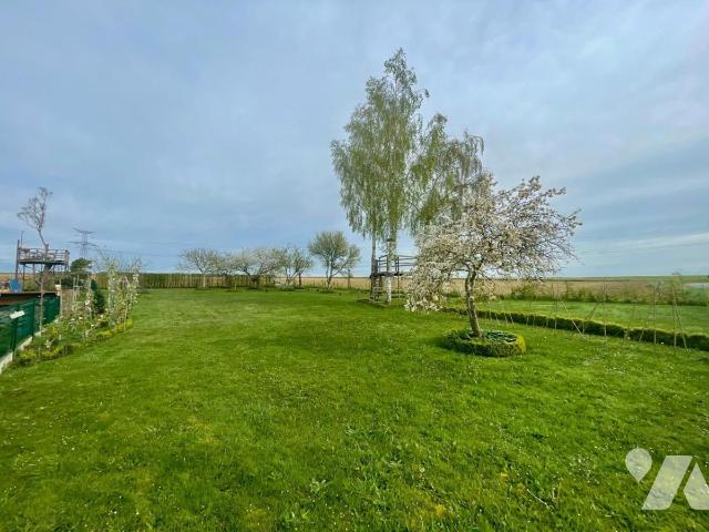 Terrain — Baron-sur-Odon