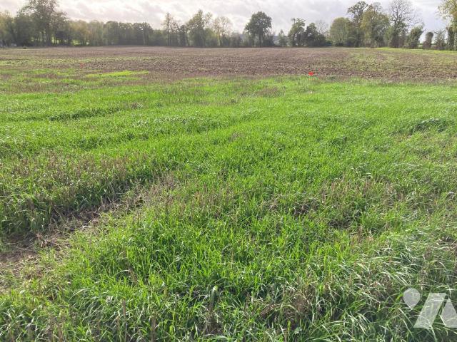 Terrain 500 m² · à Landes-sur-Ajon · 500 m² · 54 080 €