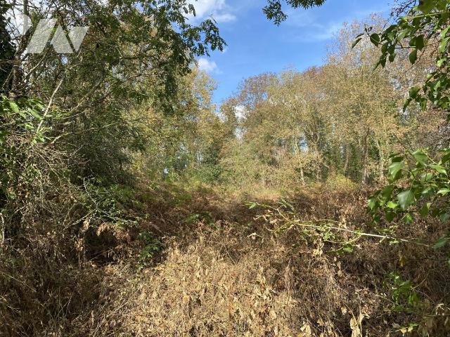 Terrain — Monts-en-Bessin
