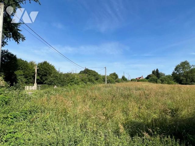 Terrain — Saint-Martin-de-Bienfaite-la-Cressonnière