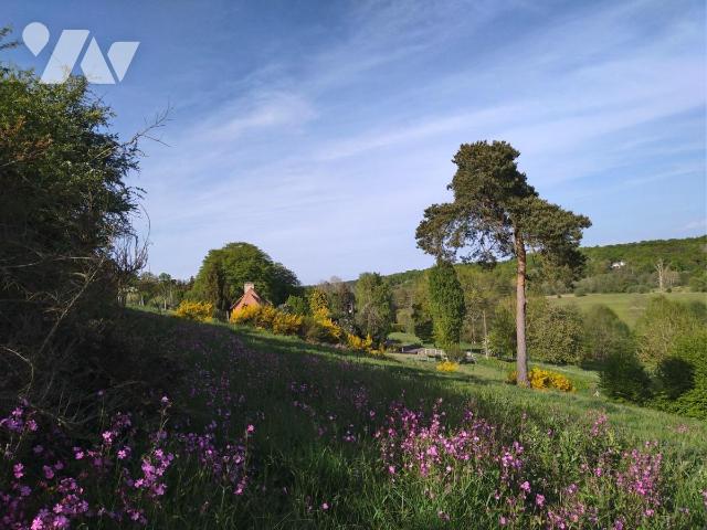 Terrain 3668 m² · à La Trinité-de-Réville · 3 668 m² · 28 000 €