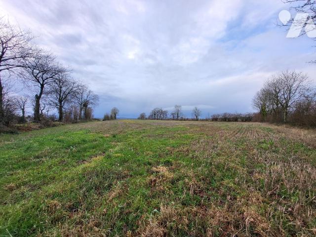 Vente - Terrain - LE TOURNEUR - 70 000 m² - 14081-1565