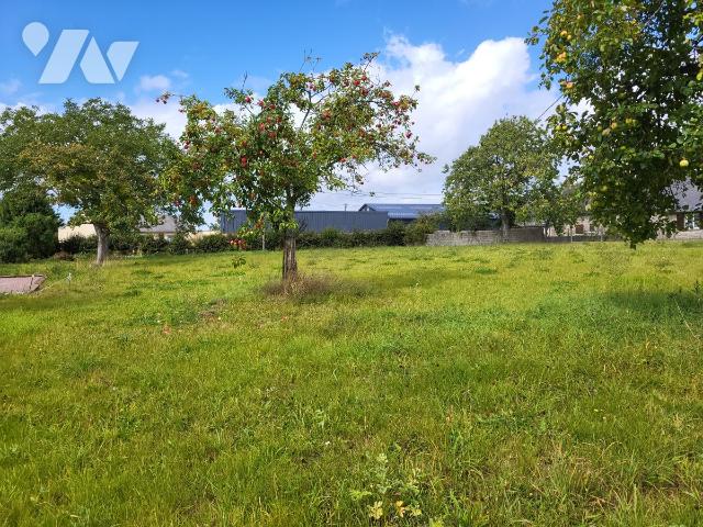 Vente - Terrain - ST MARTIN DES BESACES - 3 191 m² - 14081-1647