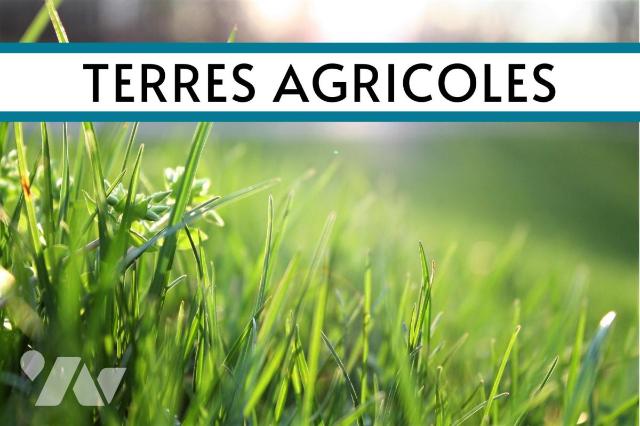 Terrain — Monts-en-Bessin