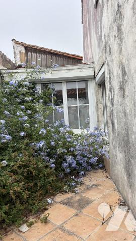 Sale - House/Villa - STE MARIE DE RE - 156 m² - 0 room - 17018-1160