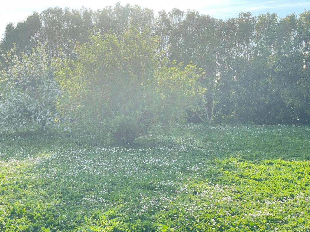 Terrain 401 m² · à Montroy · 401 m² · 100 000 €