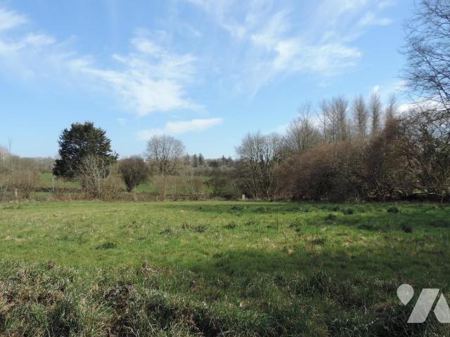 Sale - Land - LE VIEUX MARCHE - 4,691 m² - 22069-1862
