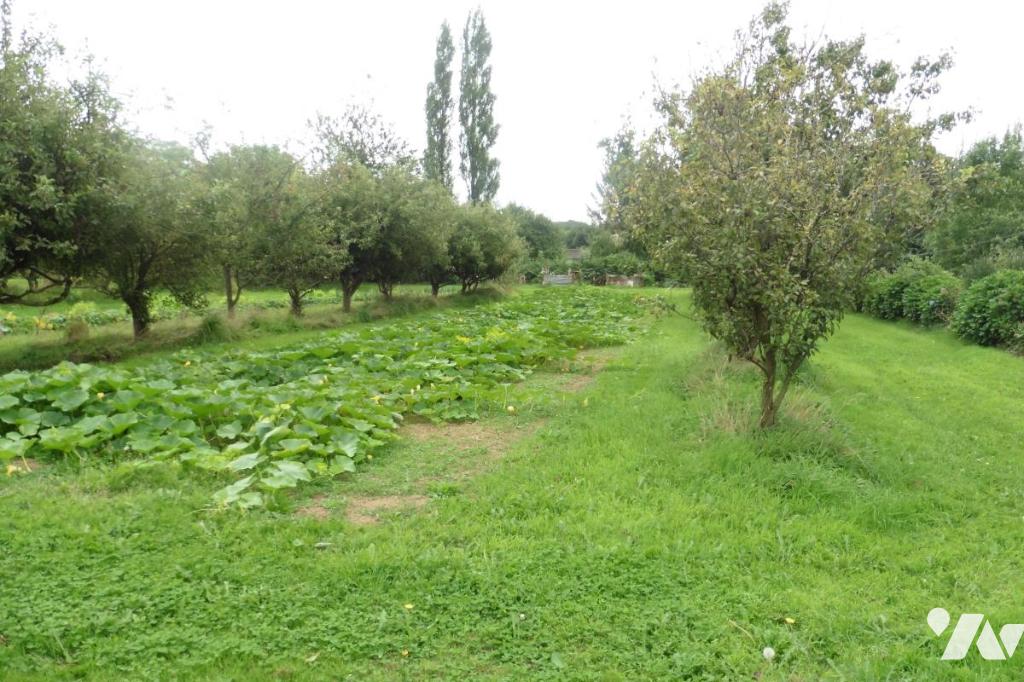 VENTE maison-PLOUGONVER (22)