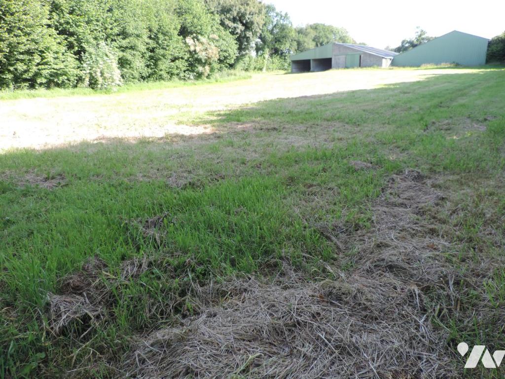 VENTE maison-LA CHAPELLE NEUVE (22)