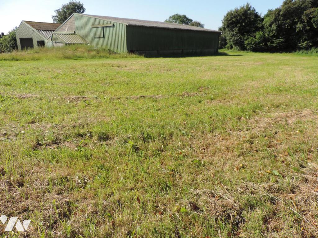 VENTE maison-LA CHAPELLE NEUVE (22)