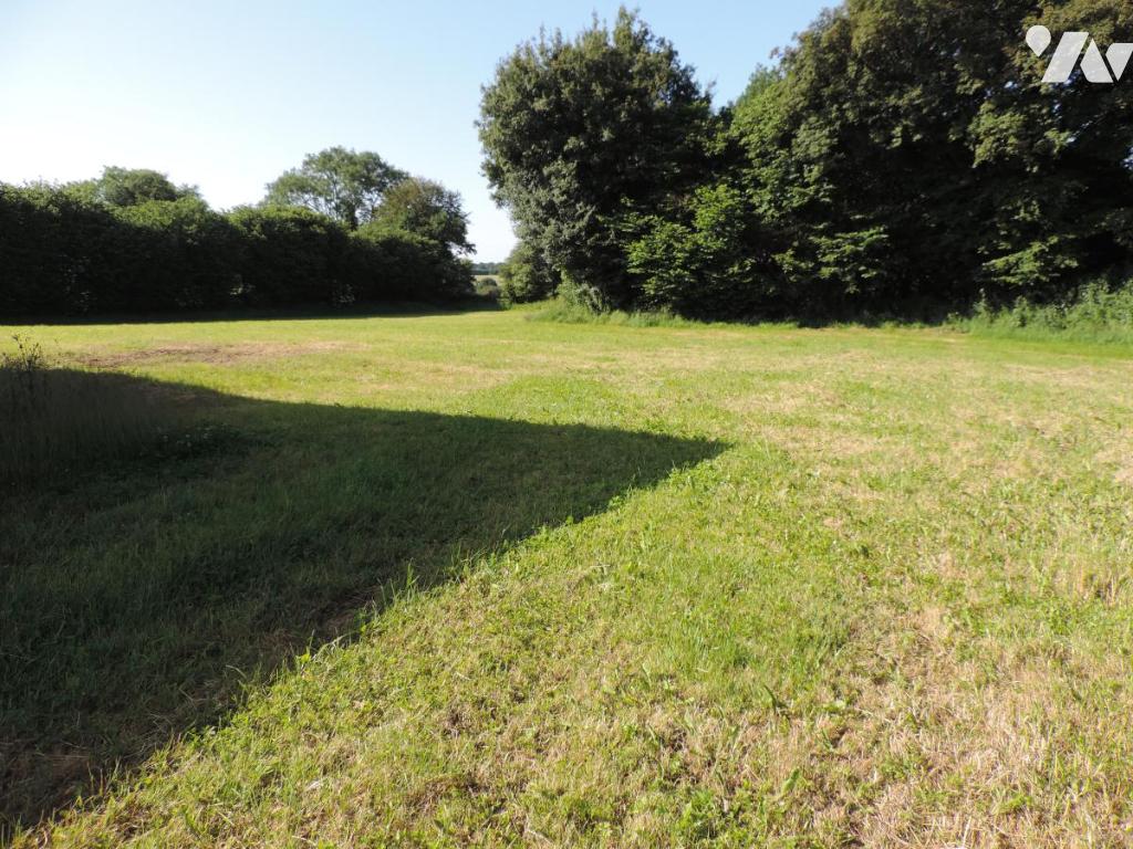 VENTE maison-LA CHAPELLE NEUVE (22)