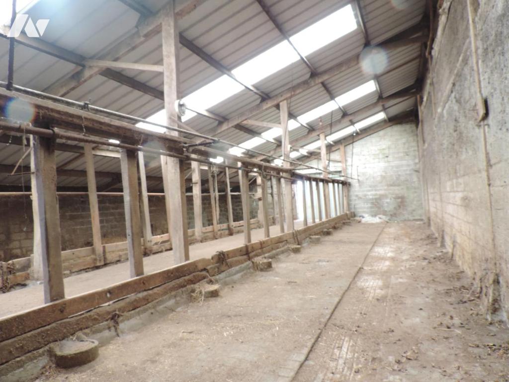 VENTE maison-LA CHAPELLE NEUVE (22)