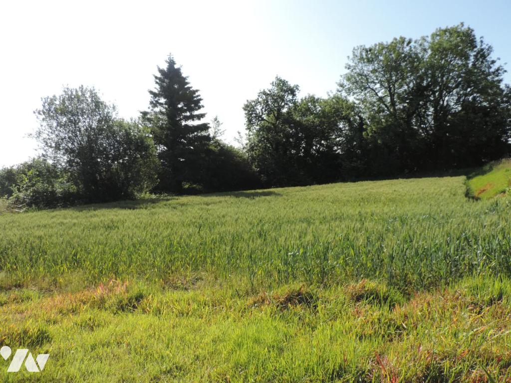 VENTE maison-LA CHAPELLE NEUVE (22)