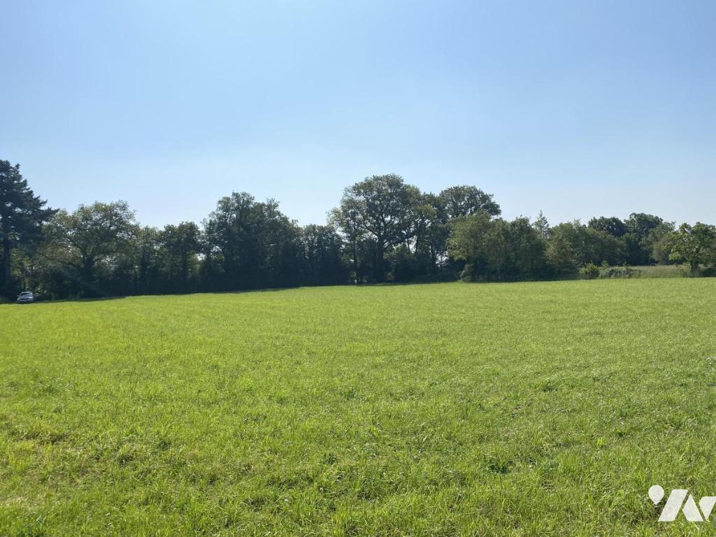 VENTE terrain-LIMERZEL (56)