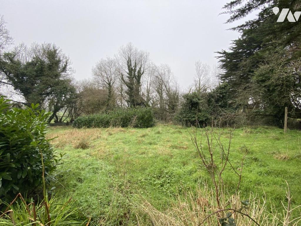 VENTE maison-PLOUNEVEZ MOEDEC (22)