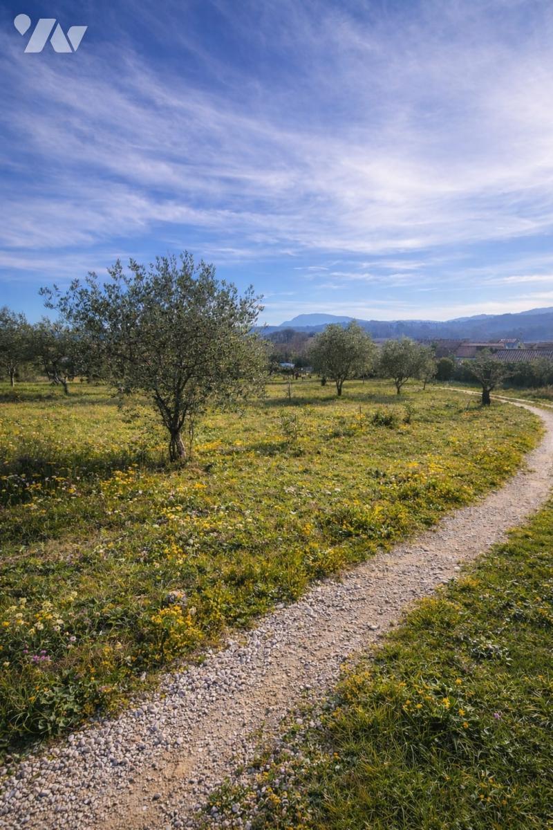 Terrain 1424 m² · à Saint-Maurice-sur-Eygues · 1 424 m² · 150 000 €