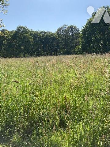Terrain 2156 m² · à Moustoir · 2 156 m² · 20 000 €