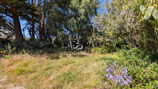 Vente - Terrain - CLEDER - 449 m² - 29094-984