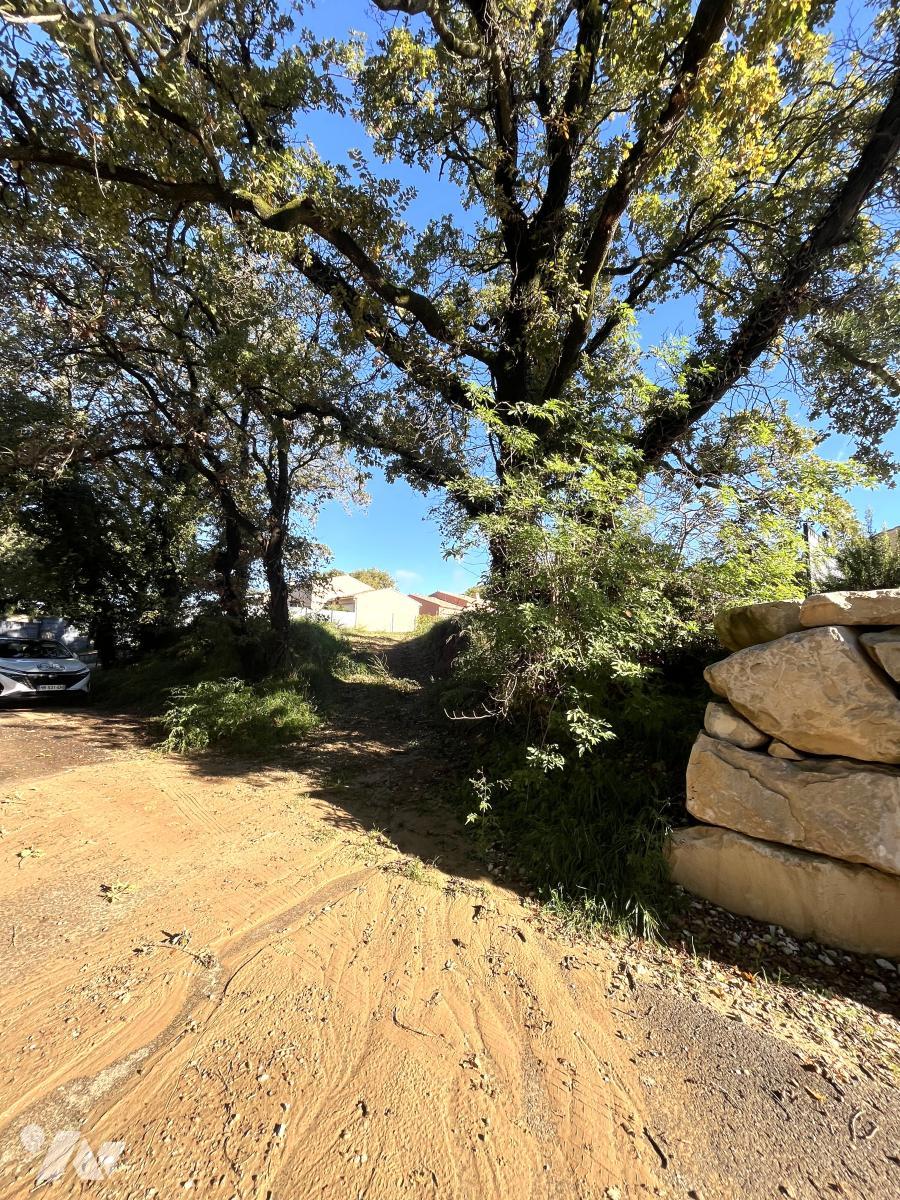 VENTE terrain-TAVEL (30)