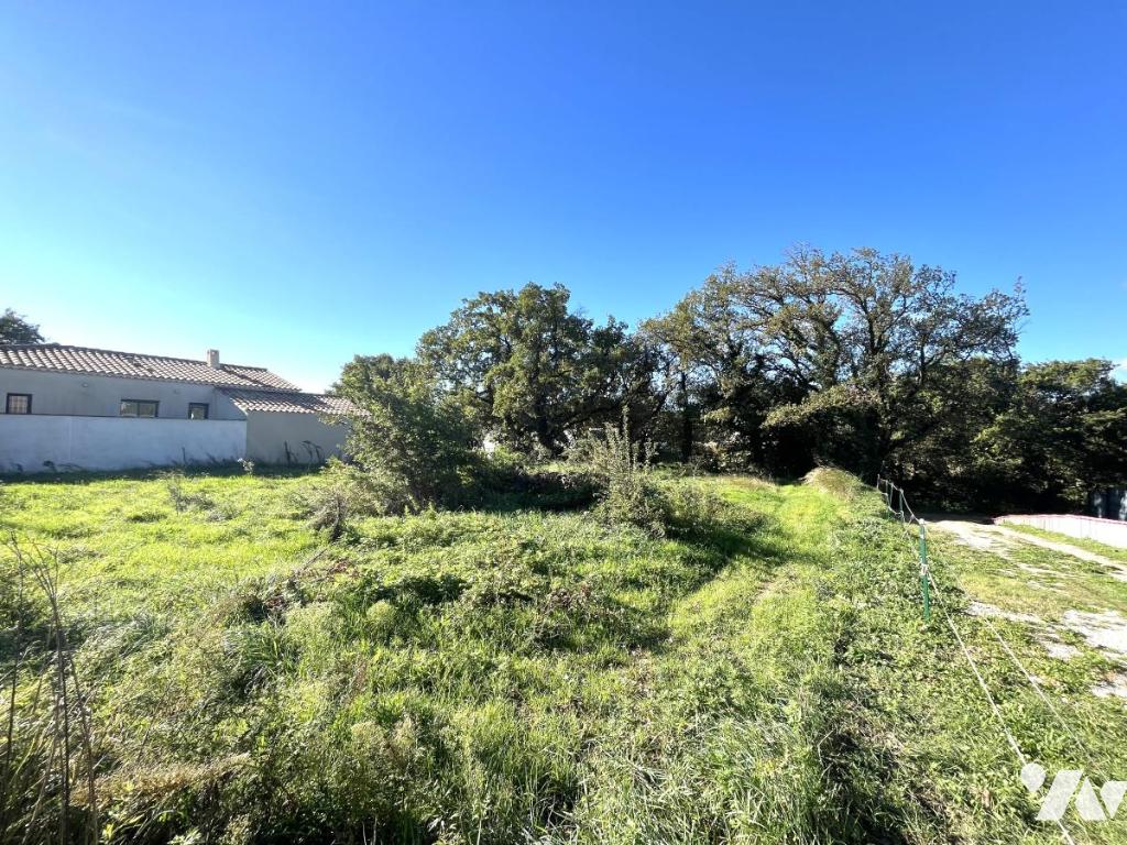 VENTE terrain-TAVEL (30)