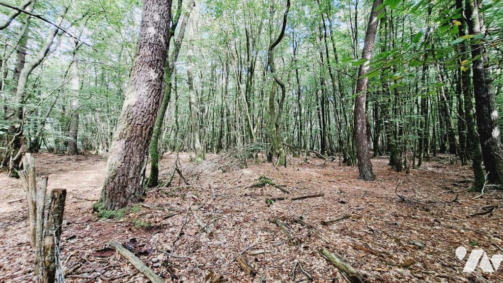Terrain 34220 m² · à Plélan-le-Grand · 34 220 m² · 17 000 €