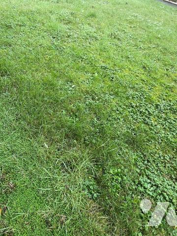 Terrain 423 m² · à Saint-Malo · 423 m² · 215 000 €