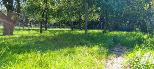 Terrain 982 m² · à Guerche-de-Bretagne · 982 m² · 55 000 €