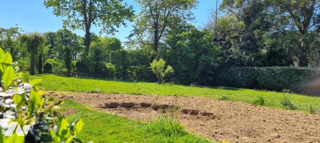 VENTE terrain-ERBREE (35)