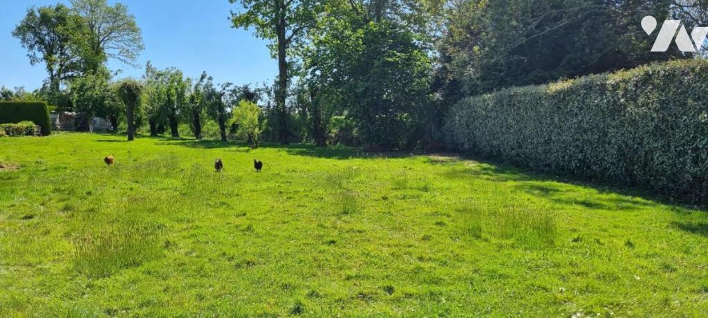 VENTE terrain-ERBREE (35)