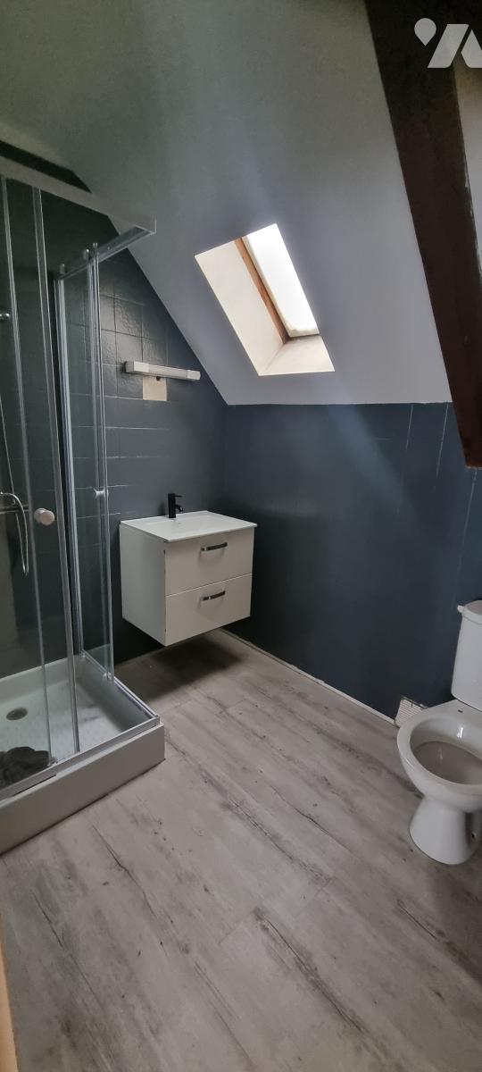 VENTE maison-LA GUERCHE DE BRETAGNE (35)