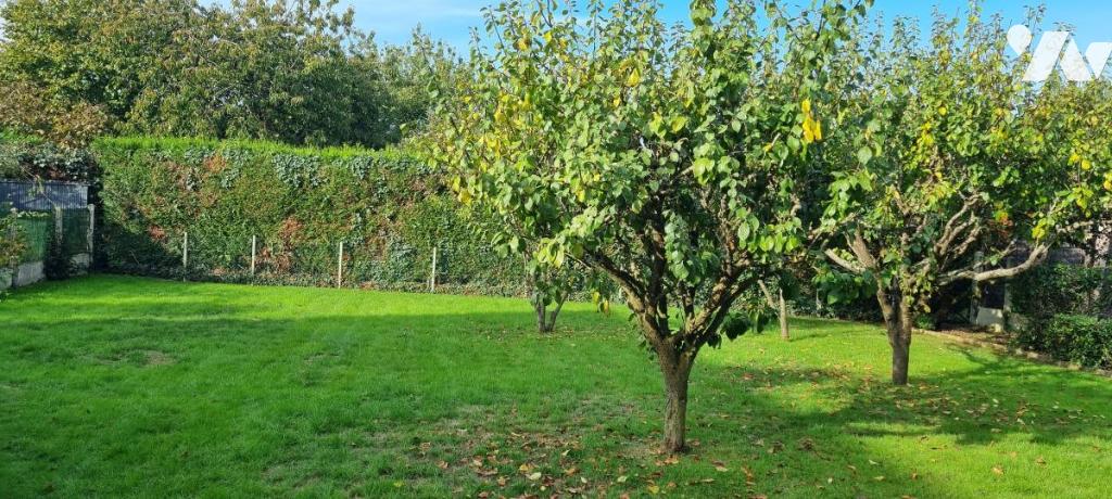 VENTE maison-LA GUERCHE DE BRETAGNE (35)