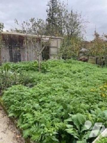 VENTE maison-ARGENTRE DU PLESSIS (35)