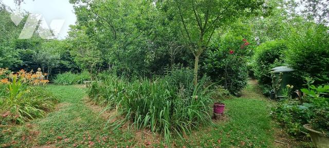 Terrain — Brielles