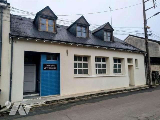 Maison 7 pièces 179 m² · à Sainte-Maure-de-Touraine · 179 m² · 90 000 €