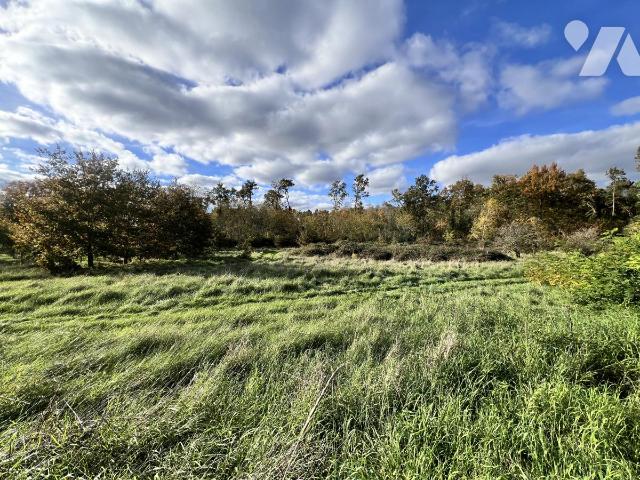 Sale - Land - NOYERS SUR CHER - 1,590 m² - 41033-1747